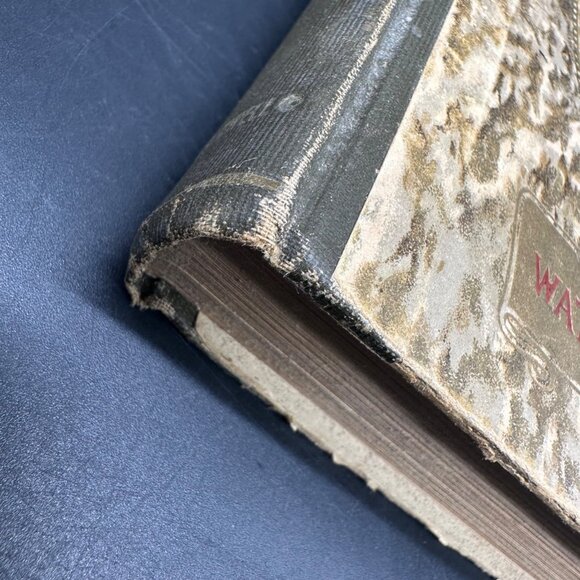 Antique Book Water Babies Charles Kingsley Fairytale Art Nouveau 1910 Hardback - Picture 13 of 15